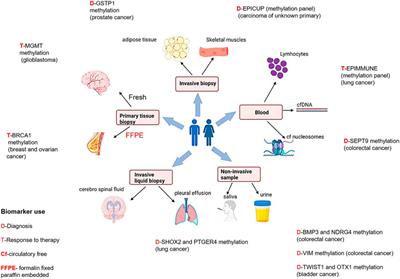 Molecular basis of epigenetic regulation in cancer diagnosis and treatment